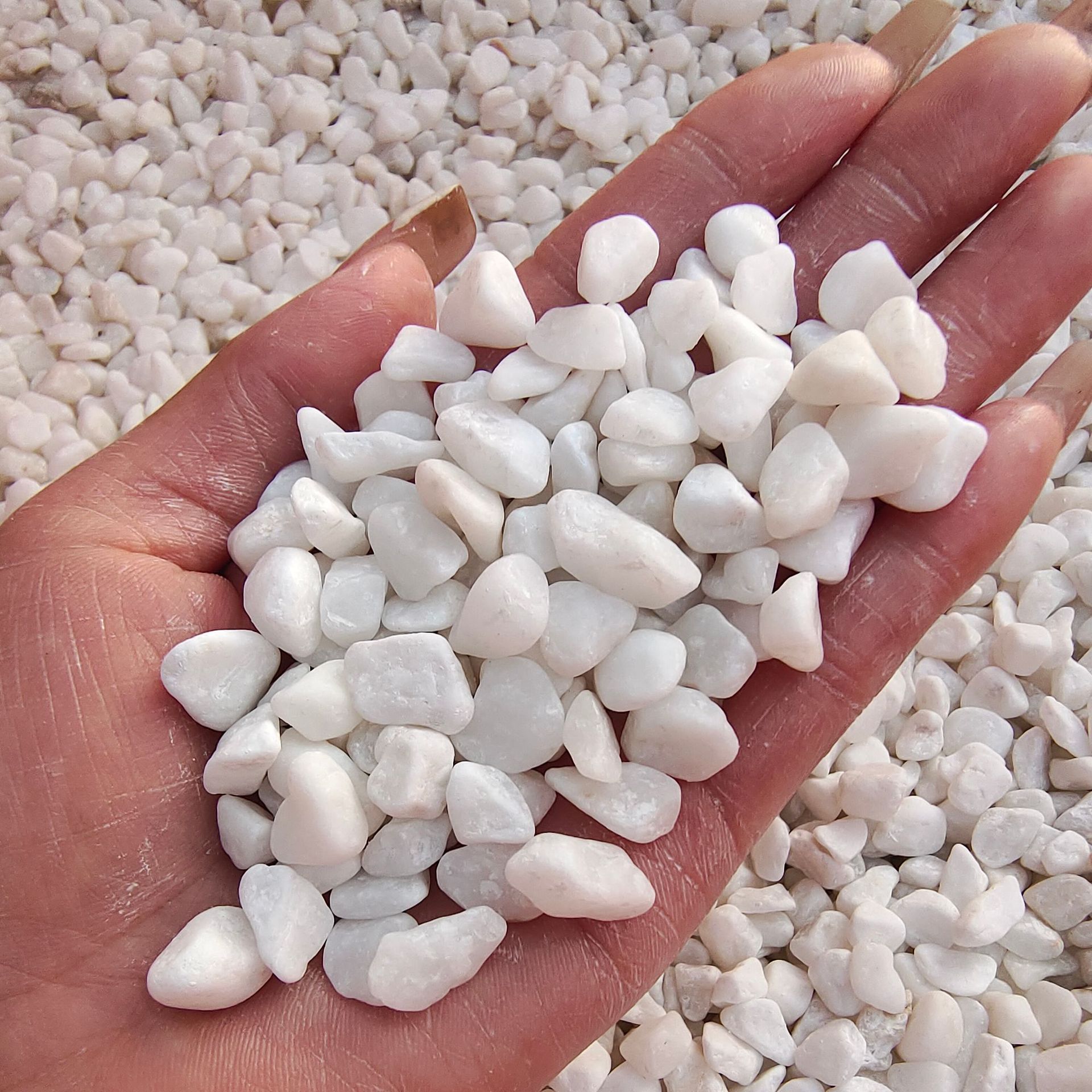 白石子现货园林造景铺路砾石卵石多肉铺面鱼缸装饰鹅卵石白色石子