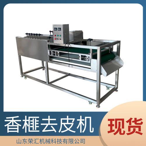 供应香榧去皮清洗机 不锈钢毛辊去皮清洗机 全自动姜不辣清洗机
