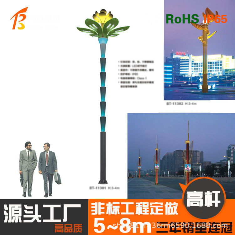 太阳能路灯 6米LED户外照明庭院灯新农村市政工程感应太阳能灯