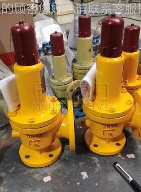 A42F46217 衬氟安全阀法兰 弘 全封闭式 高温 高压欣阀门