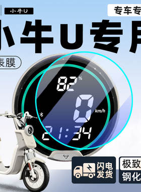 小牛U电动车仪表膜显示屏