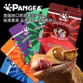 盘古Pangea爬虫果泥睫角巨人守宫盖勾亚魔物爬宠水果昆虫混合饲料