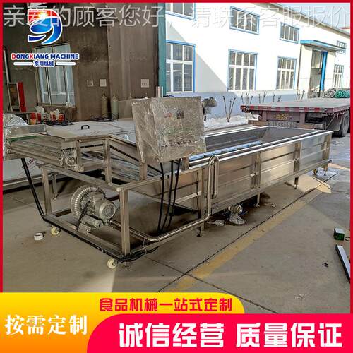 用泡果气商水蔬清洗机 全LVR自动果蔬菜清洗机 工业大型食堂洗菜