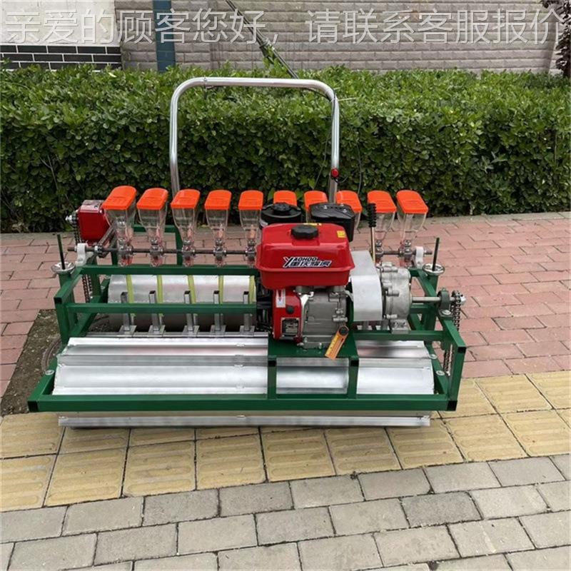 十行走式汽油自精机 韩式免HRZ播间苗蔬点菜种植播机 种菜机厂家