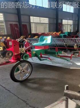 插秧机新款水稻田插秧机手ELZ扶前电启走插秧机自式水稻置种动植