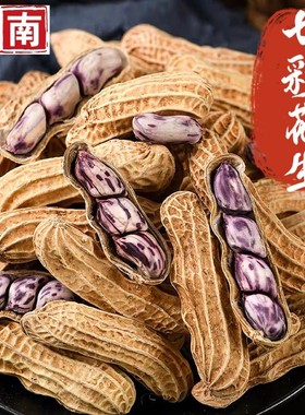 【新品】云南七彩花生水煮咸干咸香酥脆炒货带壳熟野地花生露营野