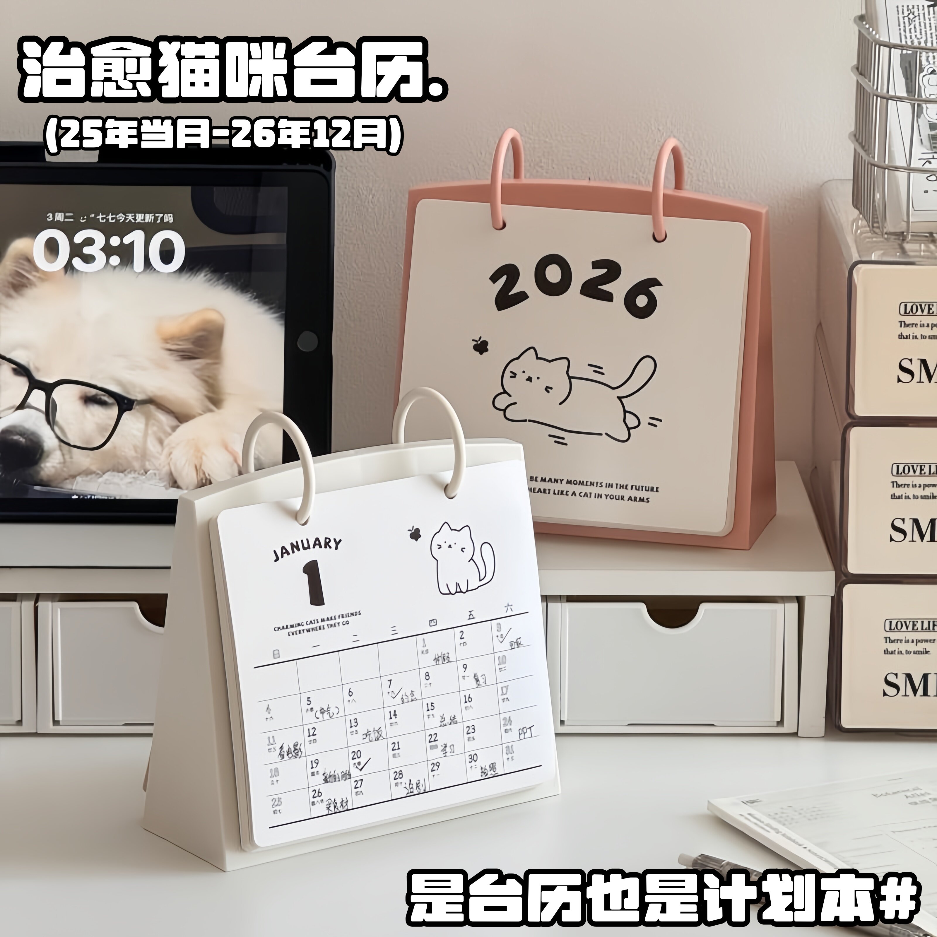 桌面治愈神器|猫咪台历太美啦