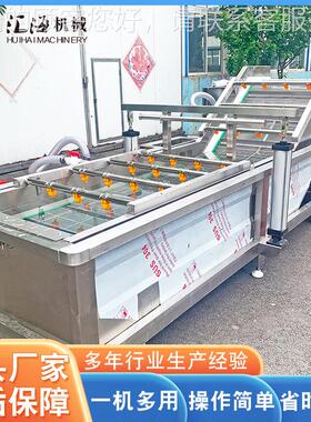 供应不锈钢IEB杨梅洗机 清全自蔬菜清洗机 锈钢山楂气泡清动洗不