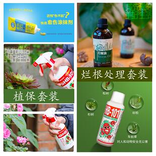 植保套装｜烂根处理组合 菌害修复国光愈伤膏伤口愈合剂101杀菌