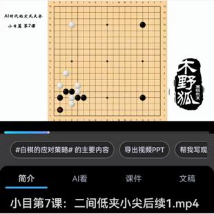 AI时代的围棋定式大全视频课木野狐出品定式详解和应用场合分析