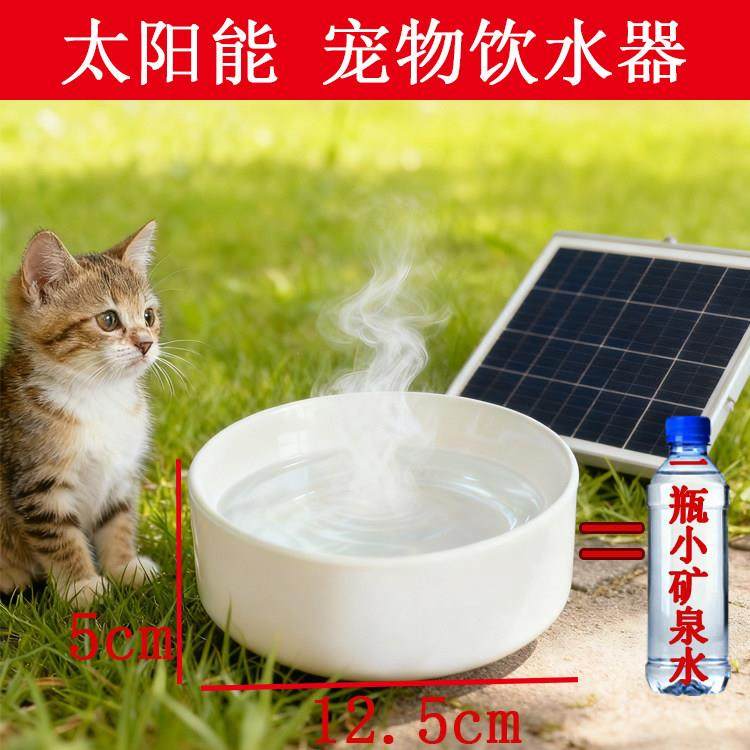 太阳能流浪猫猫咪狗狗饮水加热器防冻水碗冬季不插电鸽子鸡加温,宠物/宠物食品及用品,追踪器,淘宝优惠券,粉丝福利购,淘宝优惠卷