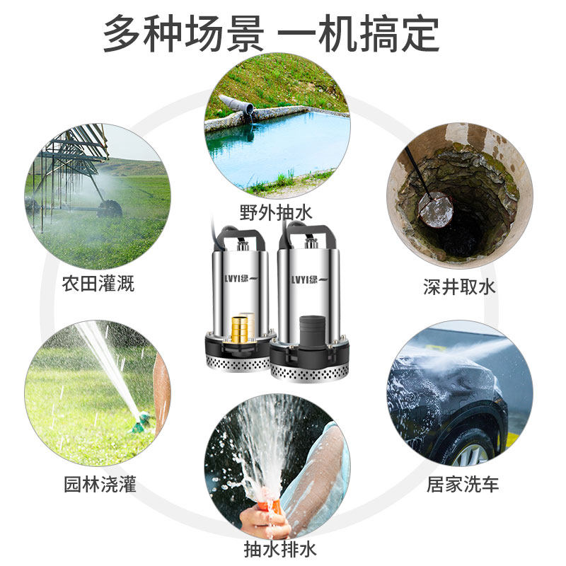 绿一农用48V直流潜水泵12V48VC60V高扬程电动车家用抽水泵 水泵