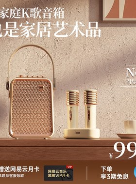 Divoom点音K歌音响麦克风一体机家用无线蓝牙音箱唱歌话筒家庭ktv