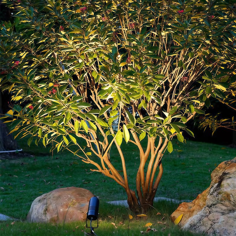 照树灯户外防水景观庭院射灯庭院植物花园绿化插地灯投光草坪灯