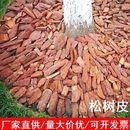 打磨松鳞松树皮有机覆盖物树穴树坑花园庭院别墅造景土壤覆土抑草