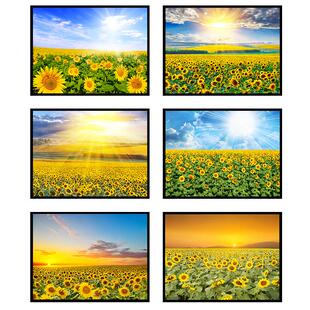 客厅装饰画现代时尚挂画田园风向日葵风景画走廊过道单幅画餐厅画