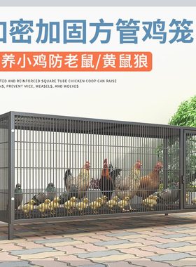 鸡下蛋的笼子家用加粗大号养殖笼折叠鸭笼鹅笼狗笼自动滚蛋鸡笼