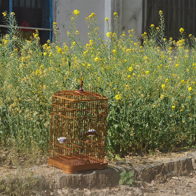 竹制鸟笼手工作坊直销蜡嘴颠颏竹笼送配件玉鸟方笼黄雀笼活底抽屉