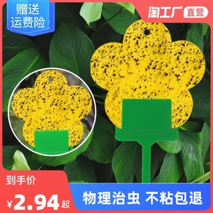 花型粘虫板双面家用花卉粘虫纸黄色果蝇诱虫板诱捕器花园