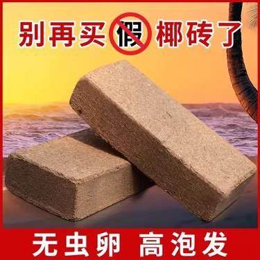 种植椰壳砖阳台种菜土壤大块耶糠砖脱盐椰砖营养土养花通用型泥土,农用物资,育苗/栽培基质,淘宝优惠券,粉丝福利购,淘宝优惠卷