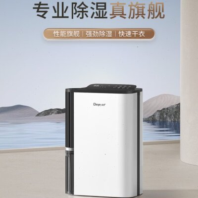 德业除湿机家用别墅静音抽湿机客厅衣柜地下吸湿除湿器DYD-T22A3