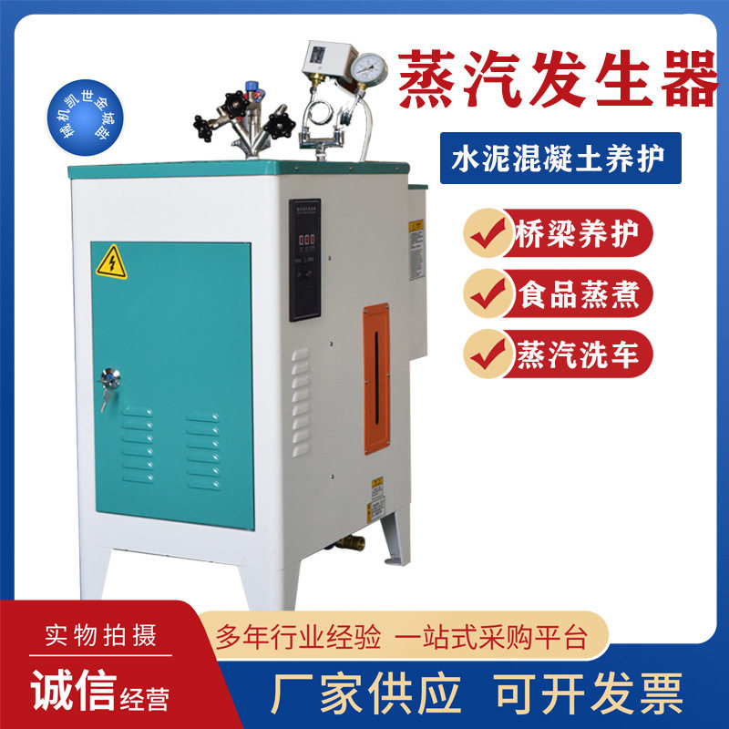 蒸汽发生器商用小型工业用蒸汽锅炉混凝土桥梁养护酿酒蒸煮电锅炉