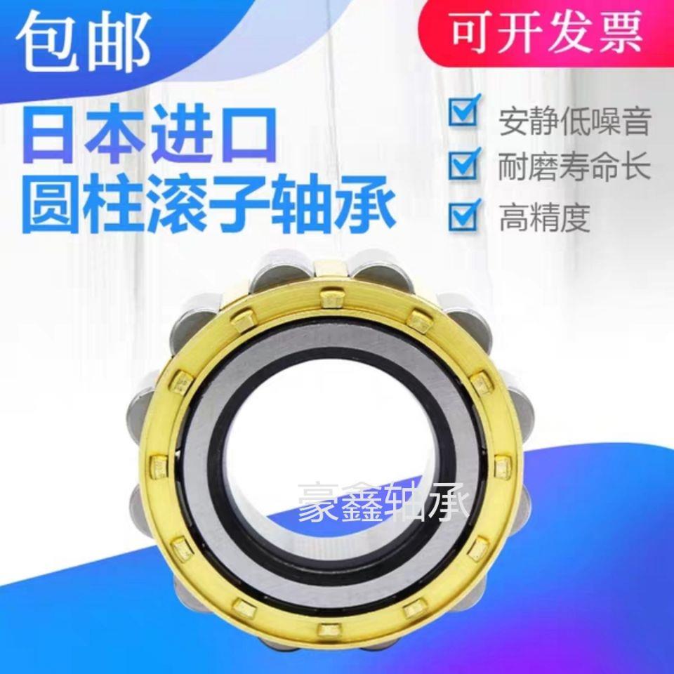 NSK进口圆柱滚子轴承RN NUP 222 224 226 228 230 232 234 236 EM