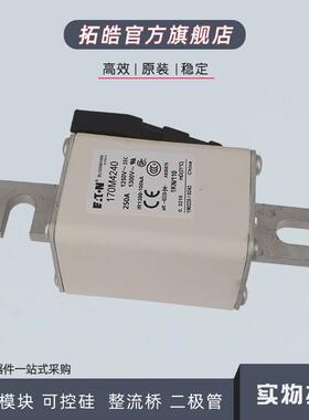 170M4258/4259/4260/4261/4262/4263/4264/4265/4266熔断器保险丝