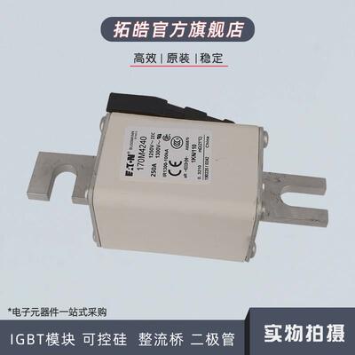 170M4258/4259/4260/4261/4262/4263/4264/4265/4266熔断器保险丝