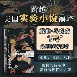 这不是本小说:及其他小说 美国实验文学异中之异 戴维·马