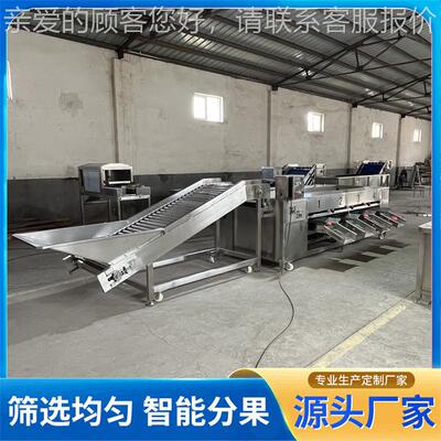 供应大型土豆杠分选机 多 级不锈钢水果选分机柠檬猕猴PXS桃滚选