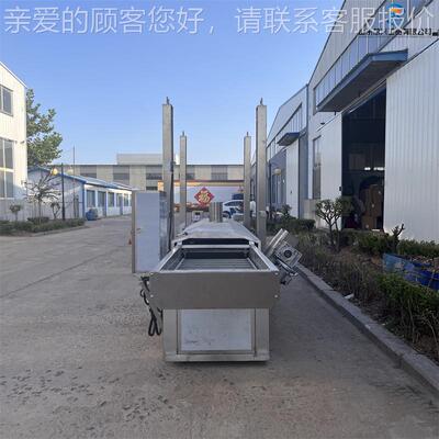 兰干油炸花流703水 全狮子头肉丸子自动连续式油炸机 网线带式油