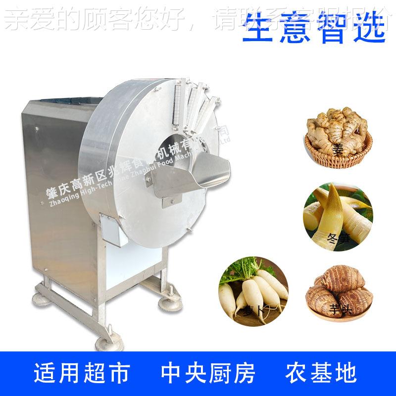 工厂直销 生姜片切机 切丝机 土豆BGY萝丝卜切丝机 笋红薯芋头姜