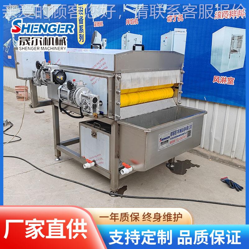 粽叶清洗机平行毛辊新鲜NLA箬竹清洗机器连续叶式清叶洗机不荷伤