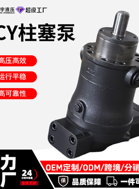 高压液压油泵10/16/25/40/63/80/160/250/400YCY14-1B轴向柱塞泵