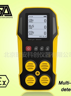 多参数沼气检测仪  （H2S    CH4    CO2 O2）气体检测仪