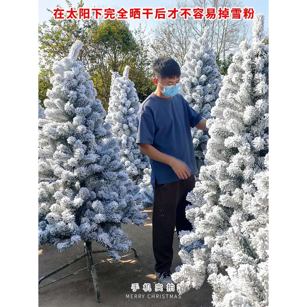 ?豪华植绒圣诞树1.5/1.8/2.1/2.4m套餐加密阻燃圣诞树雪树厂家批