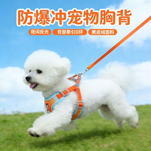 【舒适不勒脖】背心式狗狗牵引绳