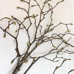 饰摆设禅意造景复古宅寂风插花家居店铺软装 玉兰枝干花真花装 陈设