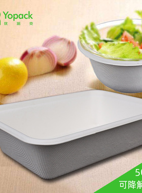 厂家一次性甘蔗浆纸碗可降解餐具650ml方盒托盘