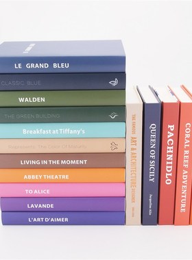 样板房装饰 简约彩色外文仿真书 样板间摆场装饰书道具书摆件饰品