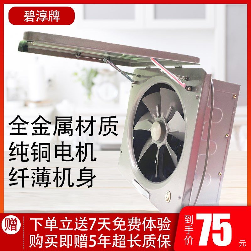 家用油烟扇排气扇换气扇10寸金属百叶窗款适合墙式窗式安装