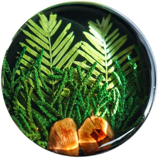 种籽造物挪威森林植物标本车载香薰出风口香氛礼盒扩香摆件礼