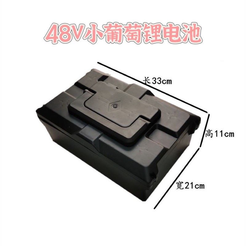 48V小葡萄电动踏板车锂电池48伏台铃小刀绿源雅迪大容量电瓶