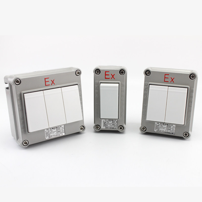 工业防爆墙壁开关明装暗装86型 单联双联三联双控 EX防爆照明开关