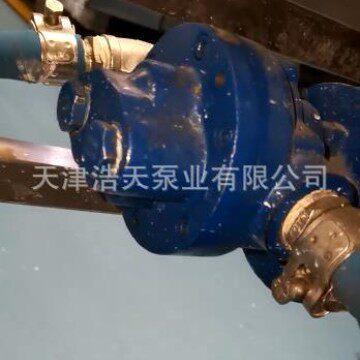 面糊齿轮泵TDML 蛋卷液 煎饼液 黄油 奶酪 蜂蜜糖浆 食用油齿轮泵