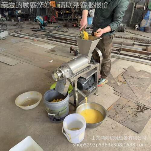 生汁姜挤压榨汁机 大 型锈钢压不榨RAW青菜打汁机原汁饮料榨汁机