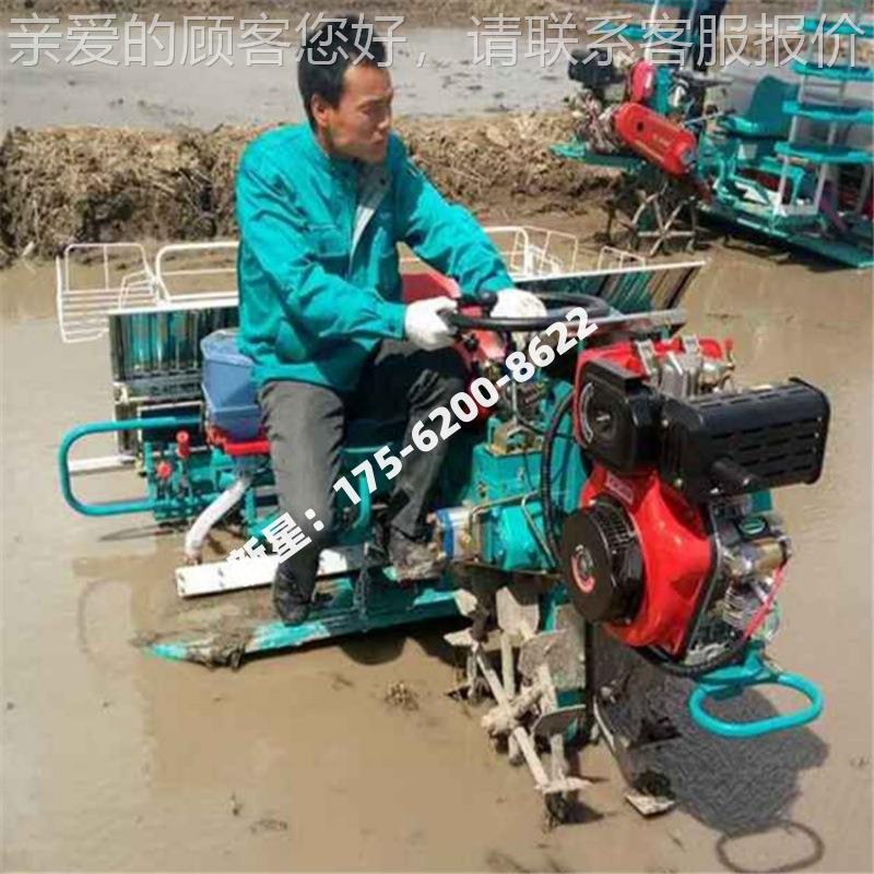 新型插秧机手扶式4行6用行乘坐式6ERU行8行水秧稻苗深田专速高插
