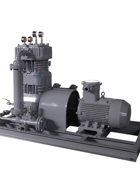 撬装式BOG压缩机厂家选型充瓶销售CT配件活塞环填料气阀