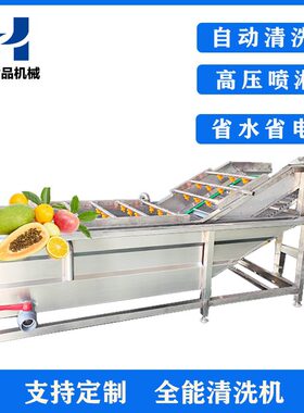 全自动蔬菜水果清洗机叶类菜气泡清洗鼓泡土豆去泥海产品洗菜设备